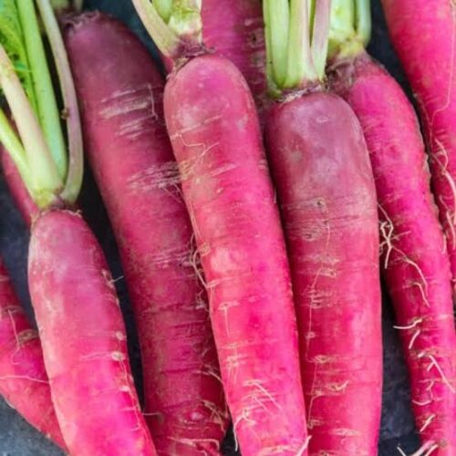 Red mulo/radish(লাল মূলা)
