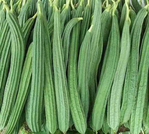 Jhinge/Trohi( ঝিঙে)