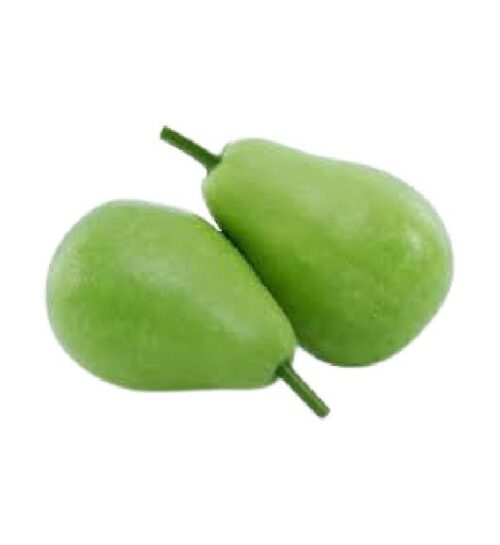 Bottle gourd(লাউ)