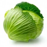 cabbage/bandhakopi