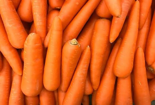 Carrot/Gajor