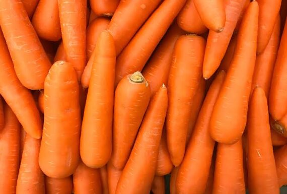 Carrot/Gajor