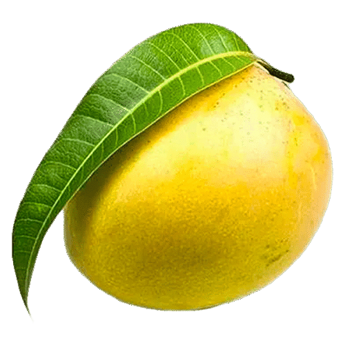 Himsagor aam