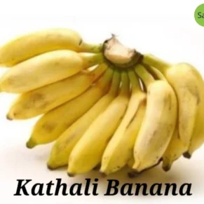 Kathali kola(কথালি কলা)