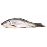 Rohu fish with head and tail(রুই মাছ, মাথা ও লেজসহ)