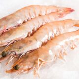 Big giant prawn(বড় গলদা চিংড়ি)