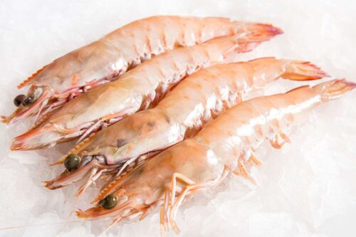 Big giant prawn(বড় গলদা চিংড়ি)