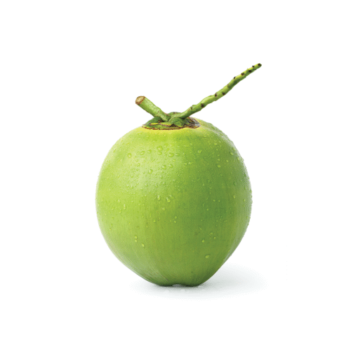 tender coconut(ডাব )