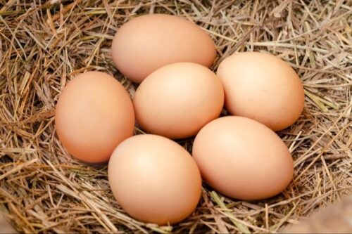 country chicken egg( দেশি মুরগির ডিম)