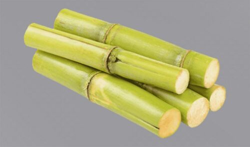 Sugarcane stick(আখের ছড়ি)
