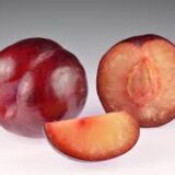 Dry ripe plum(শুকনো পাকা বরই)