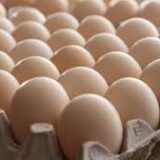 egg chicken(মুরগির ডিম)