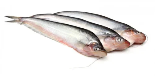 Pabda fish local( পাবদা মাছ)