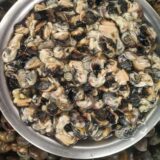 Gugli(গুগলি)