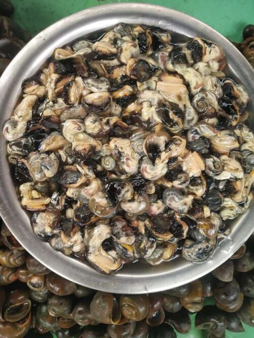Gugli(গুগলি)