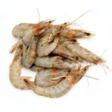 small giant prawn(ছোট গলদা চিংড়ি)