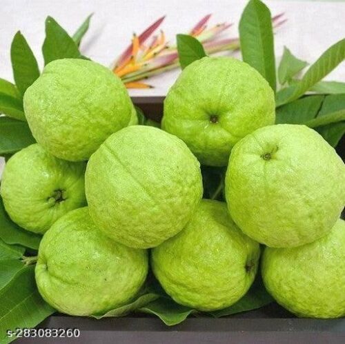 guava fruit(পেয়ারা ফল)
